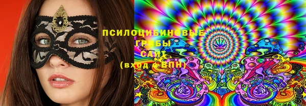 прущая мука Арсеньев