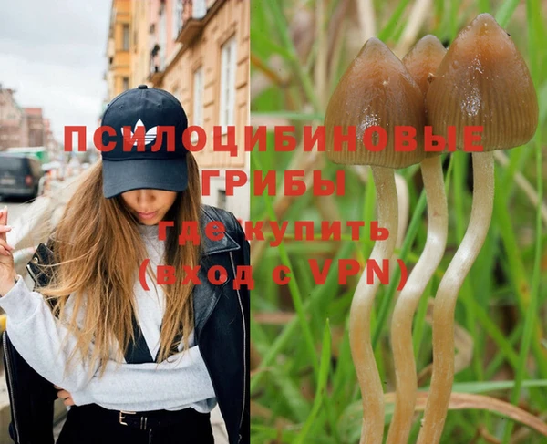 ПСИЛОЦИБИНОВЫЕ ГРИБЫ Армянск
