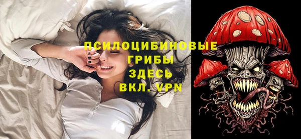 ПСИЛОЦИБИНОВЫЕ ГРИБЫ Армянск