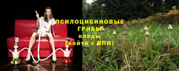 прущая мука Арсеньев