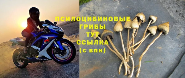 круглые Аркадак
