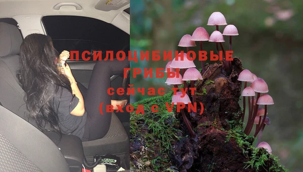 ПСИЛОЦИБИНОВЫЕ ГРИБЫ Армянск