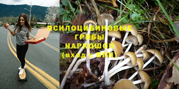 не бодяженный Алзамай