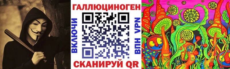 даркнет сайт  Любим  Псилоцибиновые грибы GOLDEN TEACHER 